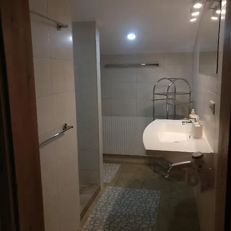 Appartement Catrin Mit Sauna Und E-Ladestation * Ried im Zillertal