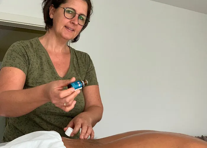 Apartamento Catrin Mit Sauna Und E-ladestation