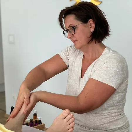 Catrin Mit Sauna Und E-ladestation * Ried im Zillertal