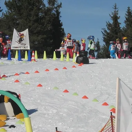 Apartmán Catrin Mit Sauna Und E-ladestation Ried im Zillertal