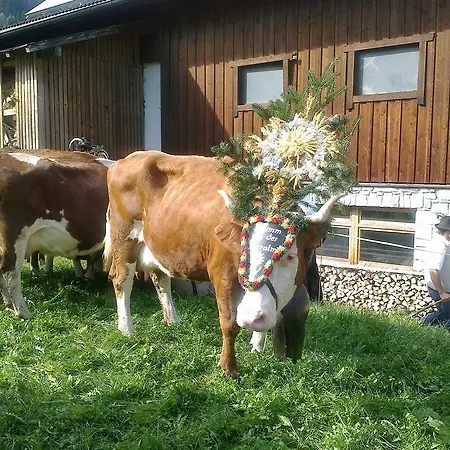 Catrin Mit Sauna Und E-ladestation Ried im Zillertal