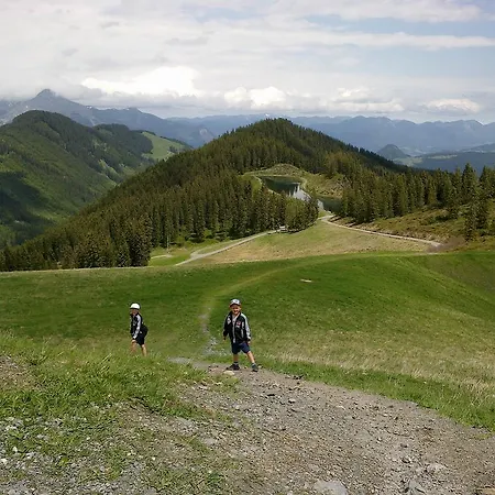 Catrin Mit Sauna Und E-ladestation Ried im Zillertal