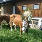 Catrin Mit Sauna Und E-ladestation Ried im Zillertal